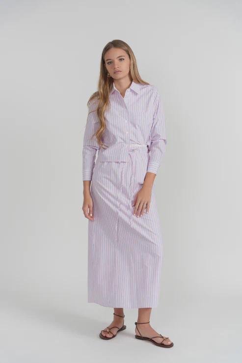 Evian Skirt- Pink Oxford Stripe - Image 2